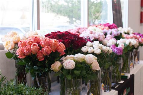 Fresh Roses On Sale 